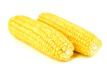 fresh raw corn cob isolated on white background