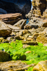 Picturesque granite boulders and green algae on the coast of the Crozon Peninsula. Brittany. France