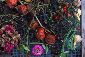 cottage garden flowers in fall