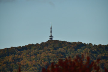 Radio and television transmitter rises above the woods
