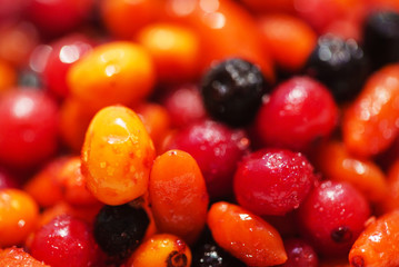 different kind of berries