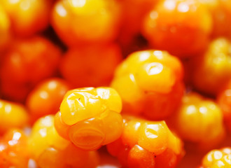 fresh and ripe cloudberry