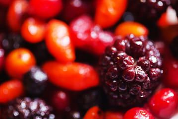 different kind of berries