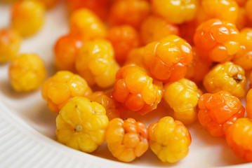 fresh and ripe cloudberry
