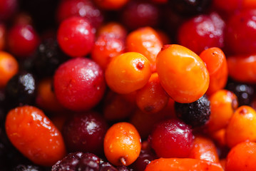 different kinds of berries