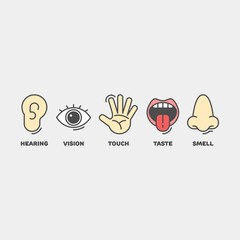 Sense organs flat vector icons. Touch, taste, hearing, vision, smell flat vector icons