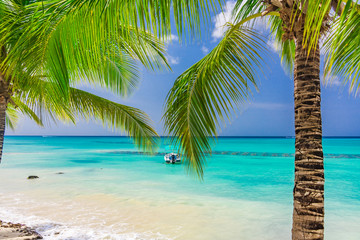 Plakat Boat Caribbean sea beach