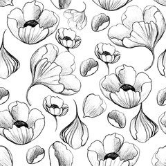 Black-white seamless pattern with poppies.