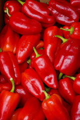 red peppers on display at the market