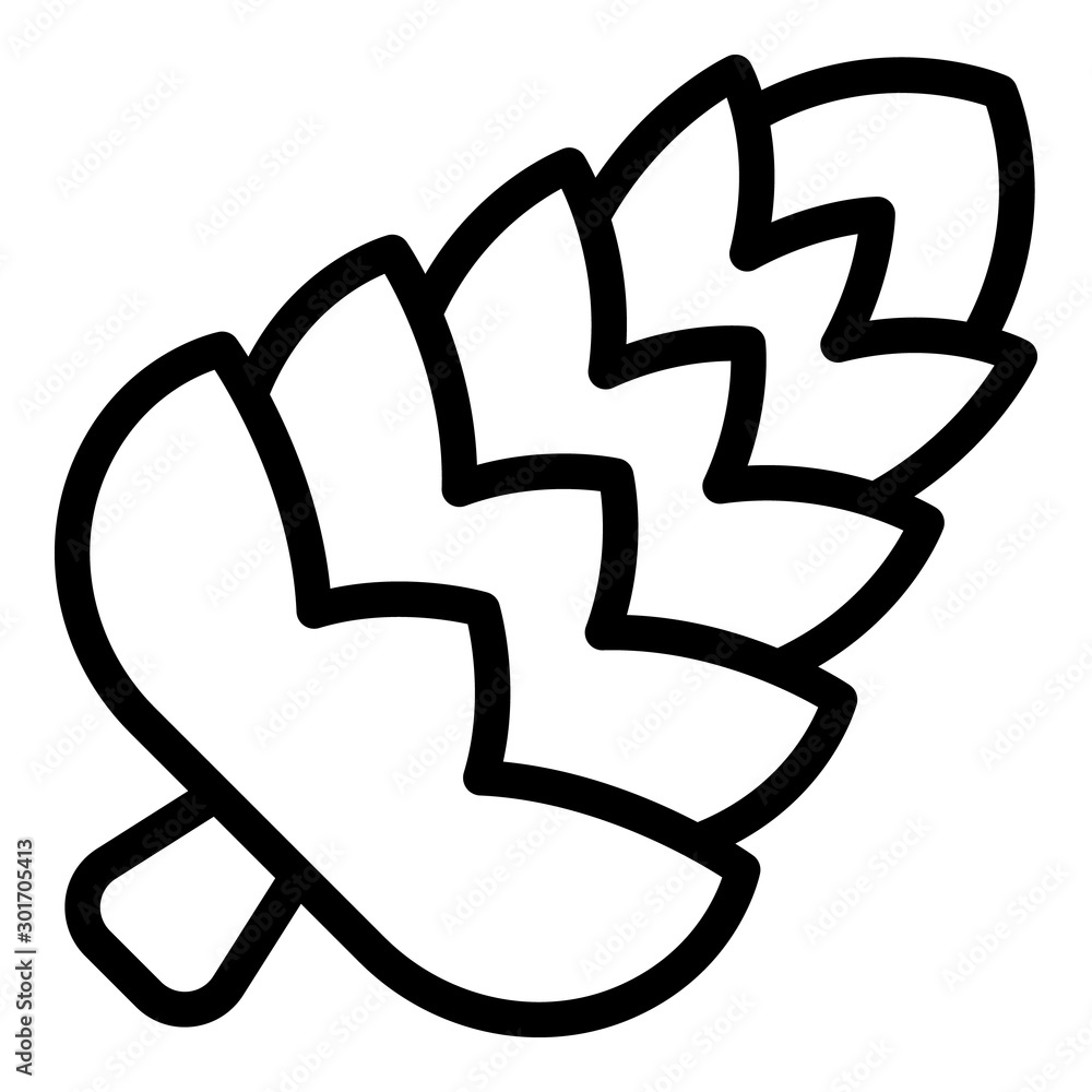 Poster long fir cone icon. outline long fir cone vector icon for web design isolated on white background