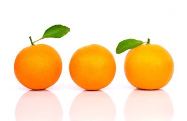 Closeup three whole ripe fresh orange fruits with green leaf isolated on white background with shadow.