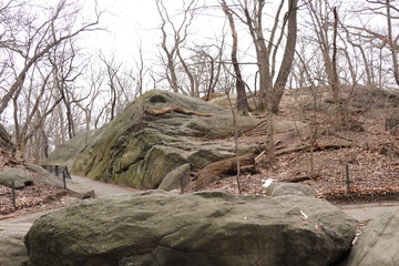 central park New York