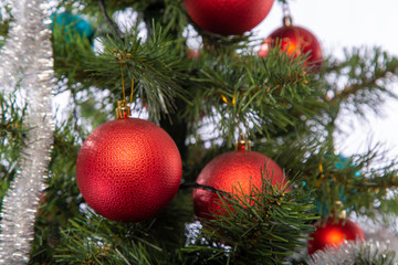 Obraz na płótnie Canvas Christmas toys on fir branches