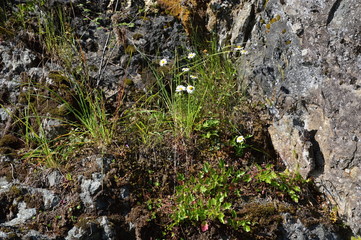 Olympic National Park, Washington