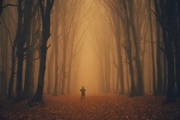 Schilderijen op glas Man lost in a spooky forest. Forest in fog with mist. Fairy spooky looking woods in a misty day with a man lost in it. Cold foggy morning in horror forest © 4Max