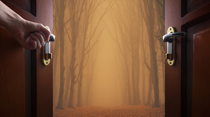 Hand opens room door to the Forest in fog with mist. Fairy spooky looking woods in a misty day. Cold foggy morning in horror forest with trees