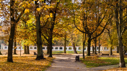 Naklejka premium Zespół pałacowo – parkowy Branickich w Białymstoku, Polska złota jesień, Wersal Podlasia