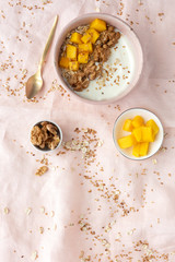 Fototapeta na wymiar Bowl of homemade granola with yogurt and cereals
