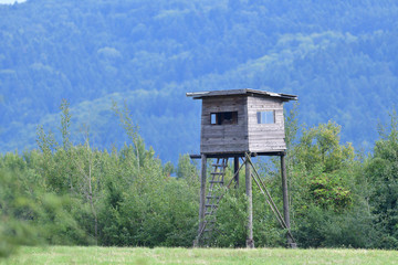 wooden hidden cottage for hunting in the forest meadow
