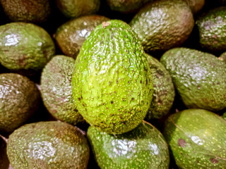 One bright Avocado above pile of Avocados