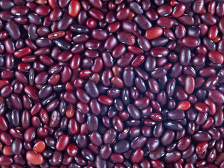 Red beans. Top view. Texture and background.