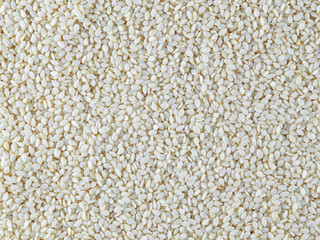 White sesame seeds. Top view. Texture and background.