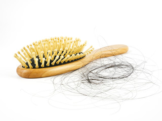 Hairs fall with comb or hairbrush isolated on white background,concept medical hair transplants or serious hair loss problem
