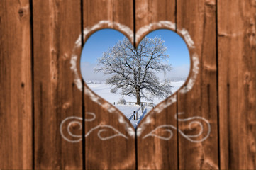 Looking through a carved heart in a wooden wall to an single tree with hoarfrost