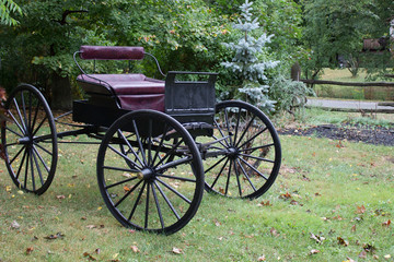 Fototapeta na wymiar Amish Courting Buggy Used as Landscape in Canada