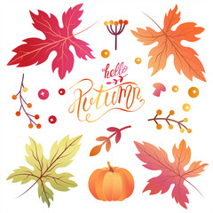 Obraz premium Set of autumn elements