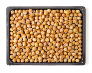 Hazelnut on white background