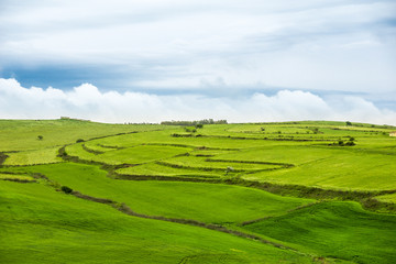 Green hills and Low Clouds