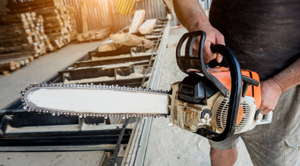 Woodcutter cutting tree with chainsaw on sawmill. Modern sawmill. Industry sawing boards from logs.