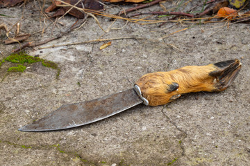 Hunting knife with hoof handle on in the autumn forest