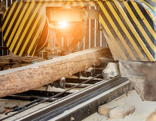 Obraz premium Modern sawmill. Industry sawing boards from logs