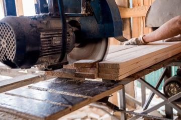 Modern sawmill. A carpenter works on woodworking the machine tool.