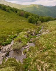 stream in the mountains