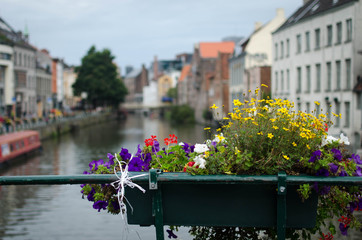 Fototapeta premium City flowers
