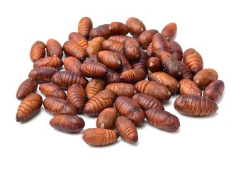 chrysalis silkworm ,silk worm cocoon on white background 