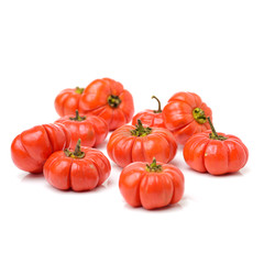 Pumpkin on a Stick, an ornamental eggplant on white background