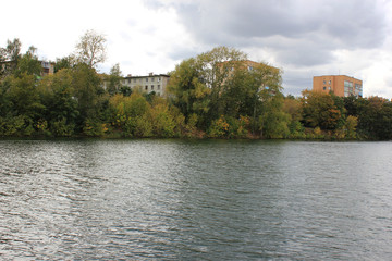 Shore with trees near the pond