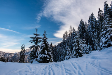 winter day in the alps of Friuli Venezia-Giulia
