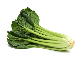 Fresh harvested Tah Tsai lettuce isolated on white. Tah Tsai or (Tatsoi) a commly used green leaf vegetable in Chinese and oriental dishes.