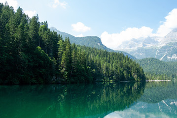 Fototapeta na wymiar Tovel lake, located in the Alps - Trentino Alto Adige 