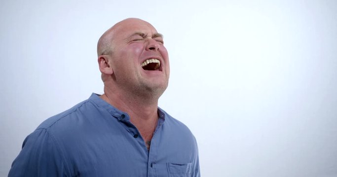 portrait of a large bald middle-aged man in a blue shirt on a white background. he screams, starts crying, covers his face with his hand