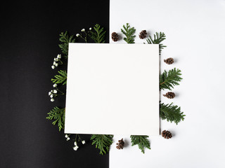 Black and white Christmas composition. White square for the inscription with green thuja branches, cones and fresh white flowers. Top view.