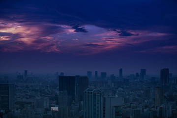 Fototapeta premium 異世界への入り口