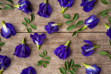 Butterfly pea or blue pea flower,bluebellvine,cordofan pea(clitoria ternatea) with green leaf isolated on wood background. Top view. Flat lay.