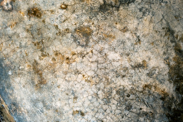 Old concrete floor for the background