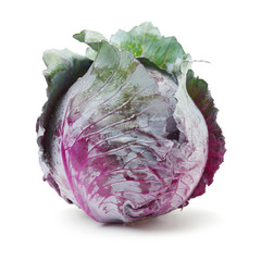 fresh red cabbage on a white background